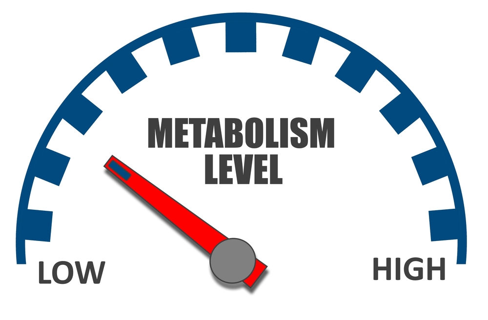 Intermittent Fasting Metabolism