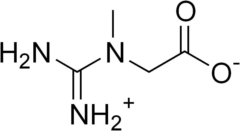 Creatine vegan